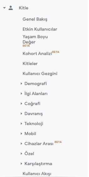 google analytics kitle edinme