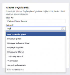 facebook sayfa kategori seçimi