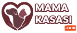 mamakasasi