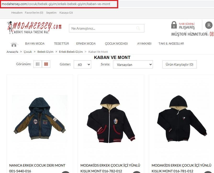 temiz url yapisi