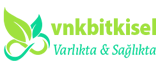 vnkbitkisel